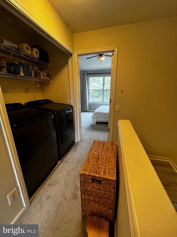 Building Photo - 1185 Cypress Tree Pl