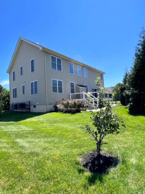 Building Photo - 1402 St Francis Cir