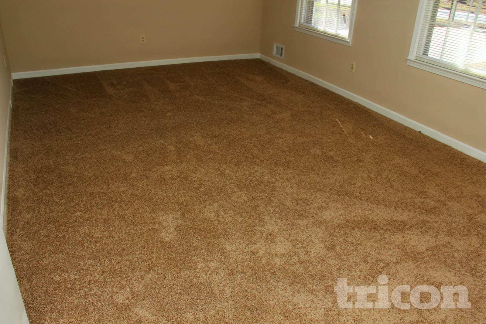 Building Photo - 5818 Northspring Dr