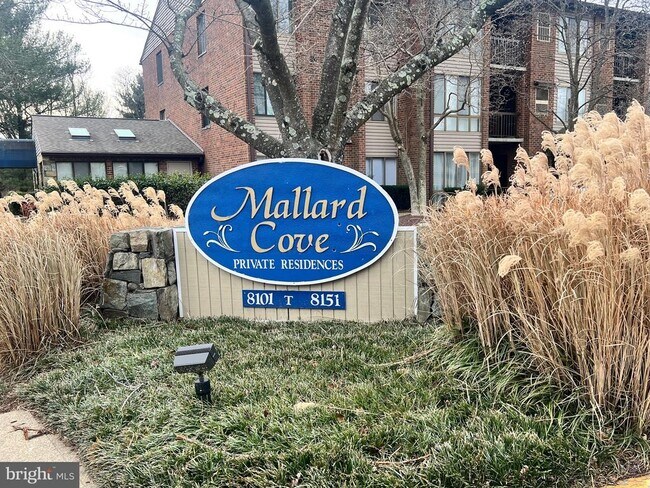 Building Photo - 8141 Needwood Rd