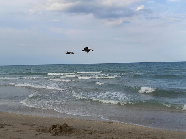 Building Photo - 9960 S Ocean Dr