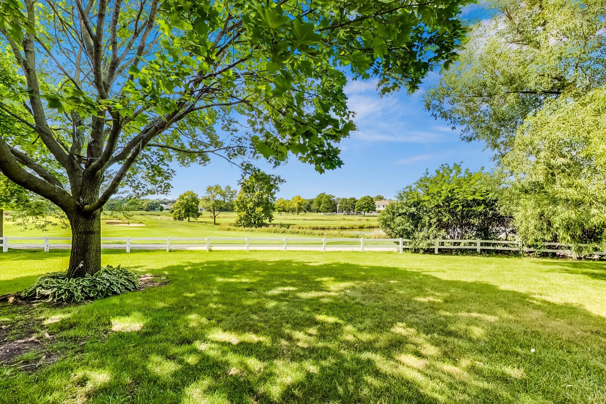 View from your living room - 1808 Vermont Dr