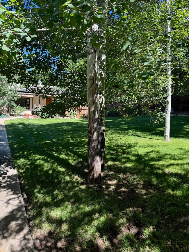 Building Photo - 978 E 5th Ave