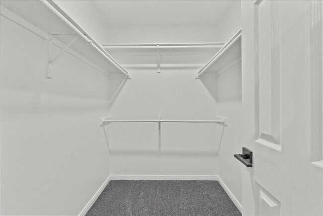 Building Photo - 2106 Roatan Calle