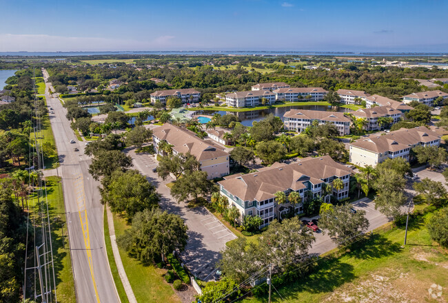 Aerial Photo - Palms Of Cortez