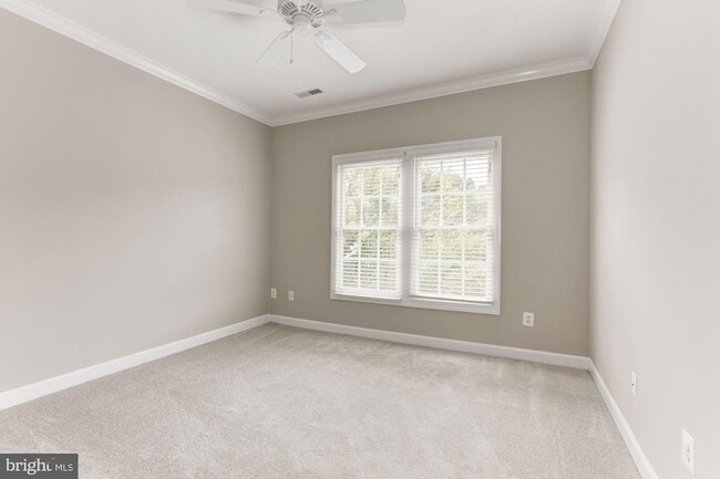 Building Photo - 286 Murtha St