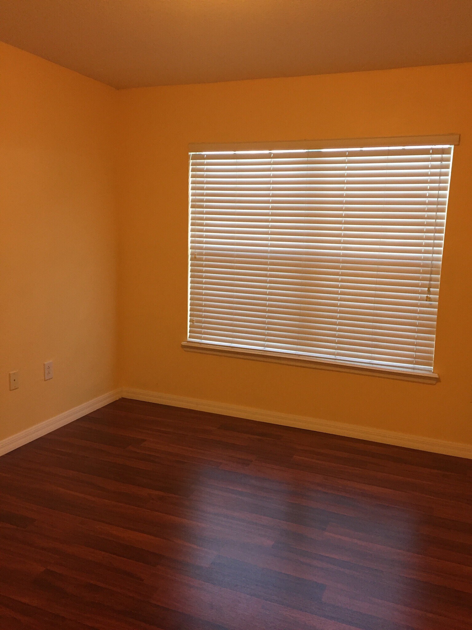 Living area - 4045 Pemberly Pines Cir