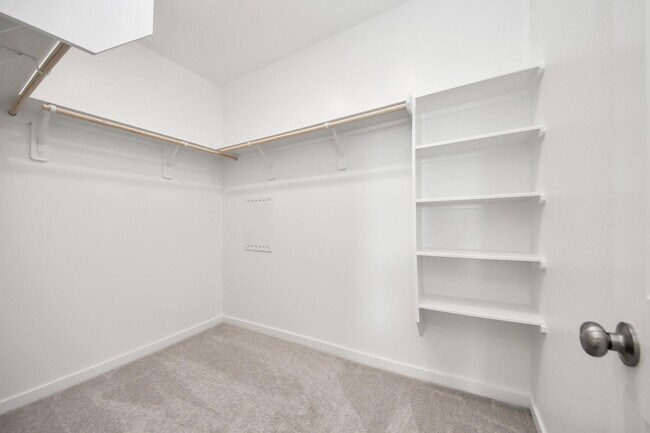 Building Photo - 16219 Chestnut Hvn Ln