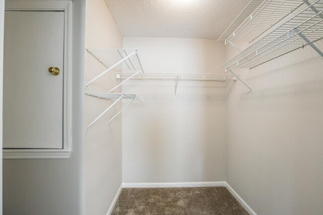 Building Photo - 5079 Mint Hill Ct