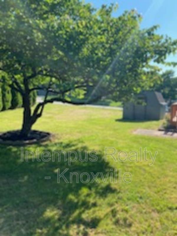 Building Photo - 6517 Bay Cir Dr