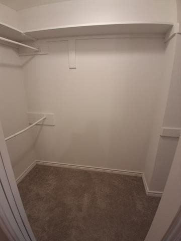 Building Photo - 922 Binbrook Dr