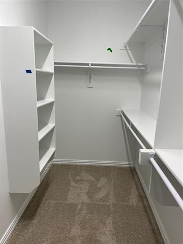 Building Photo - 1809 Briar Rose Dr