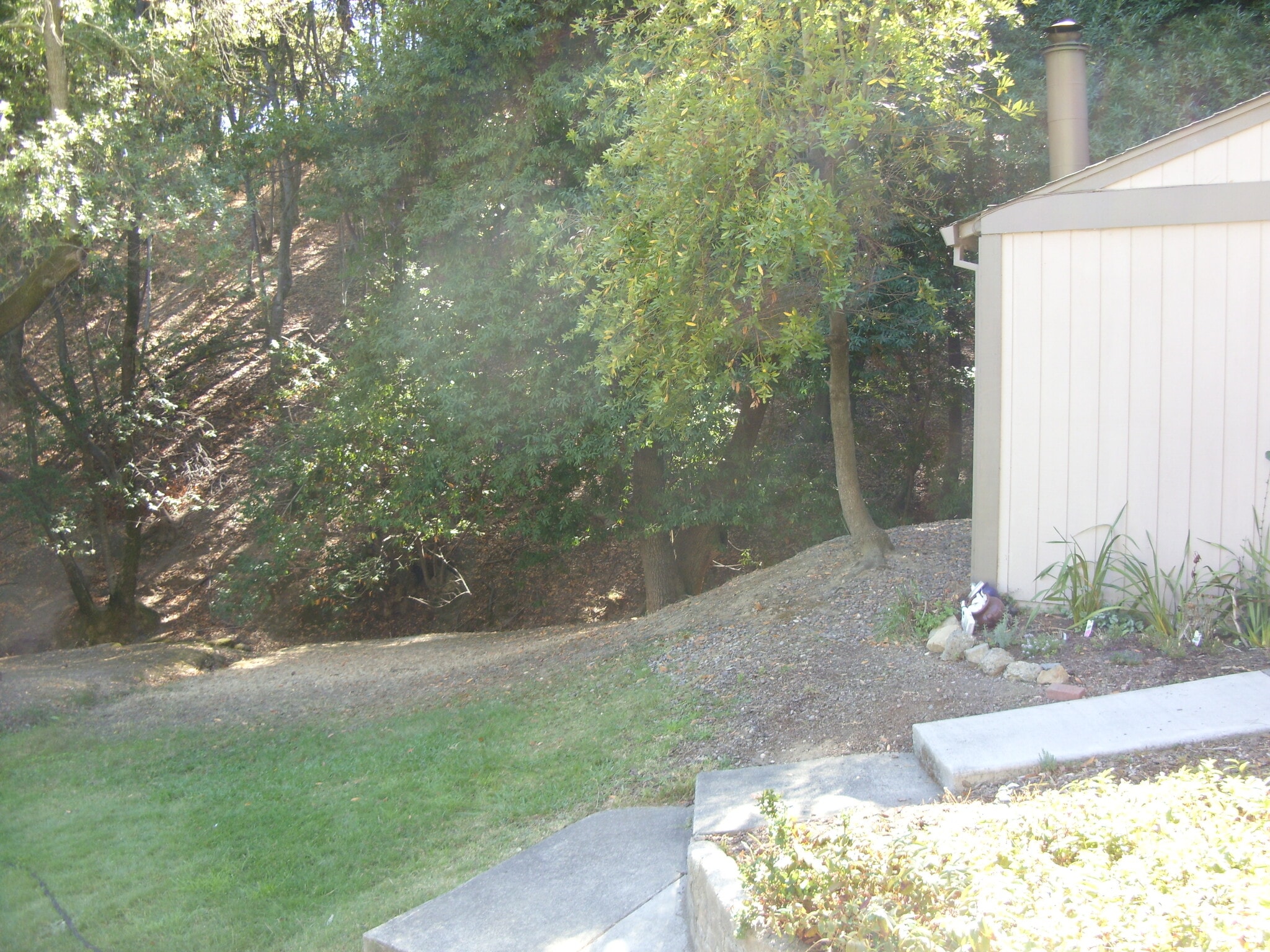 Building Photo - 25 Clay Ct