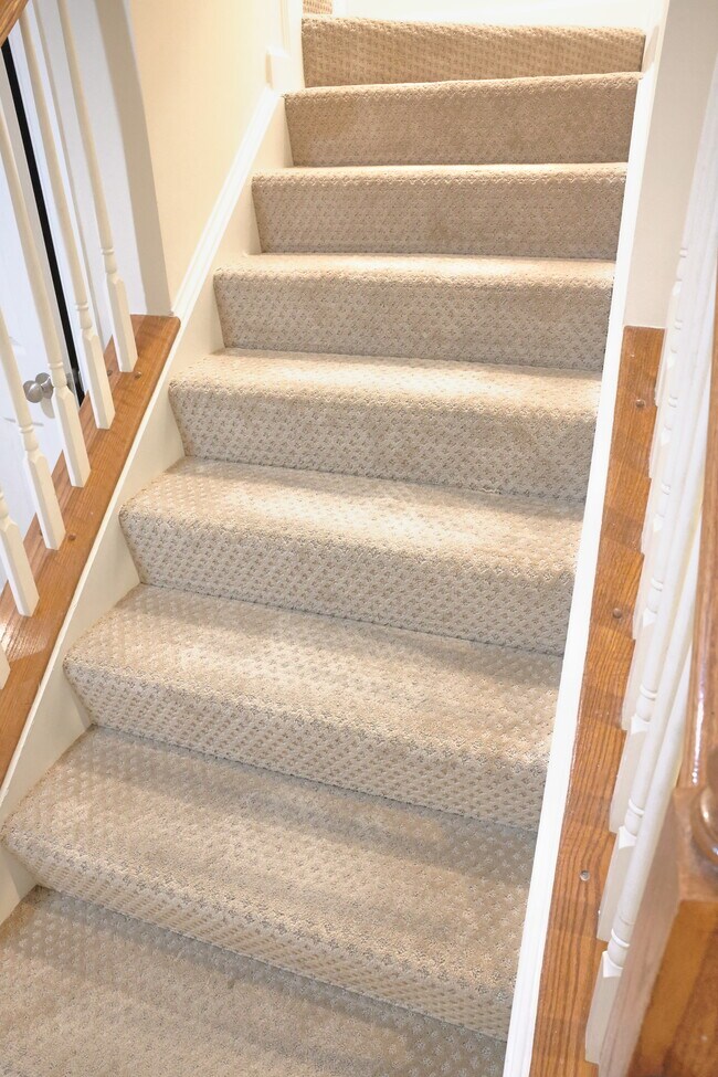 Basement Stairs - 18 Sharpstead Ln