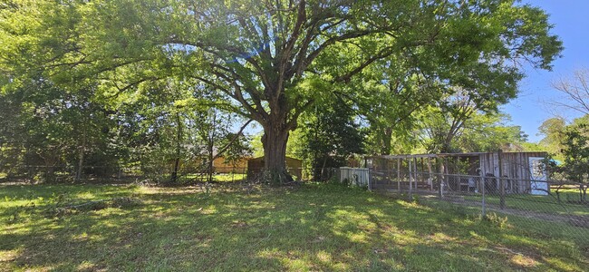 Building Photo - 2004 Roebuck St