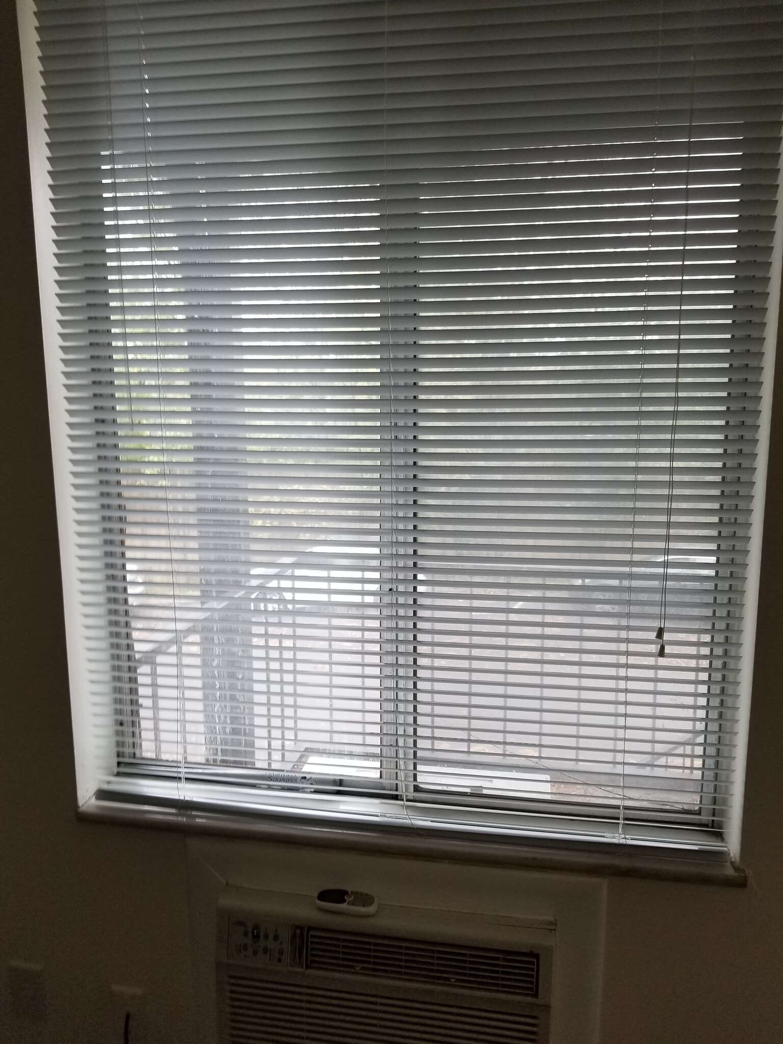 Huge windows - 2601 Hillsboro Pike
