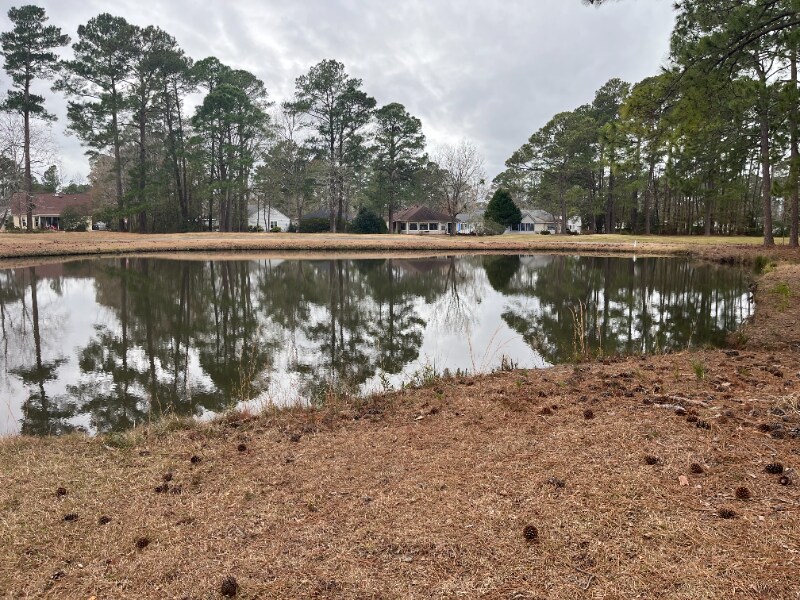 Building Photo - 6530 Laguna Point