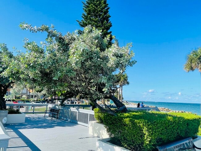 Building Photo - 1237 Hillsboro Mile