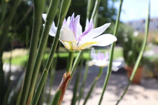 Building Photo - Perectly Located, Spacious, 2bed/ 2bath, E...