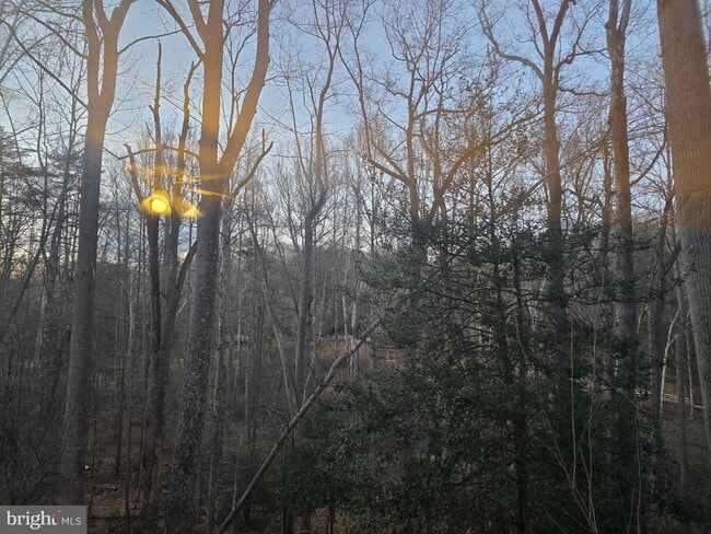 Building Photo - 12048 Winding Creek Ct