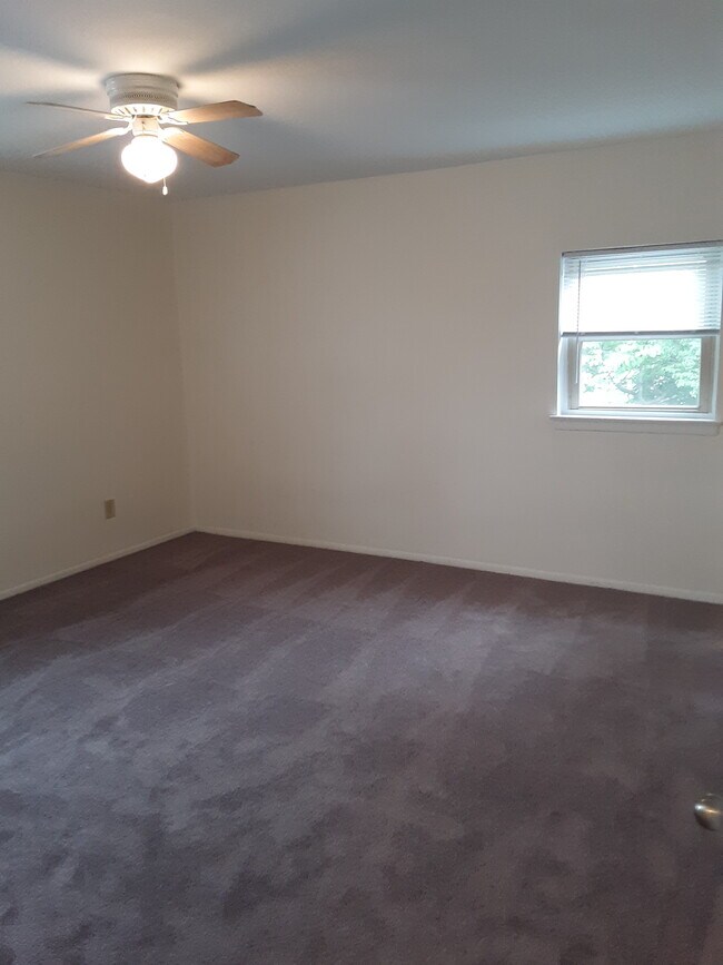 Carpeted Large Bedroom - 1730 Cottman Ave