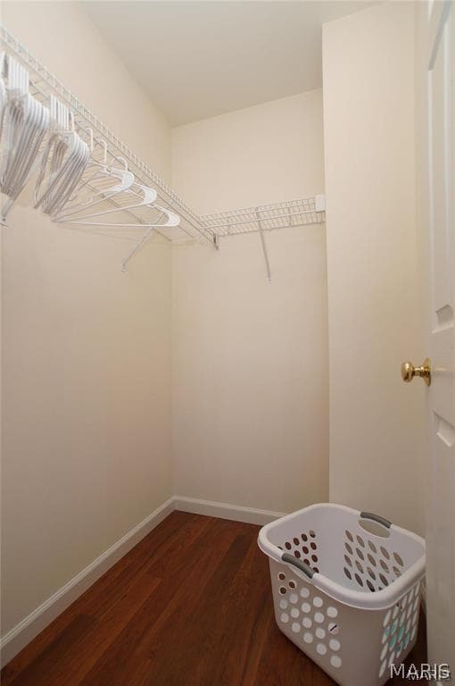 Building Photo - 619 Timber Creek Trail