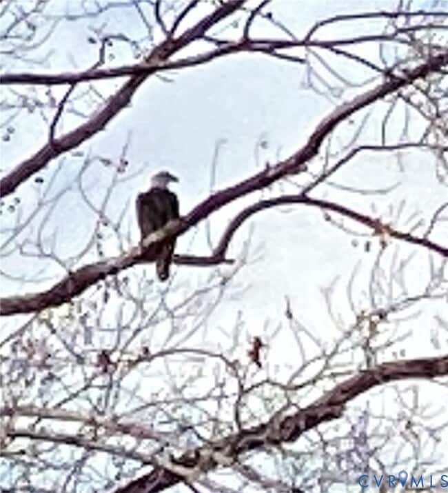 Building Photo - 7622 Yarmouth Dr