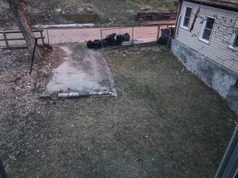 Backyard - 239 Zara St