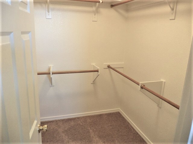 Building Photo - 14789 S Camino Tierra del Rio