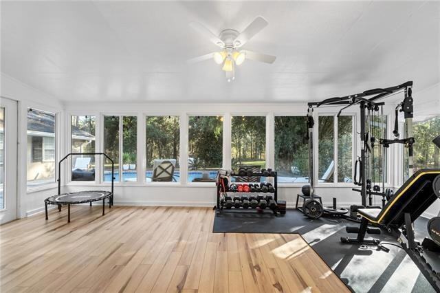 Building Photo - 104 Big Pine Dr