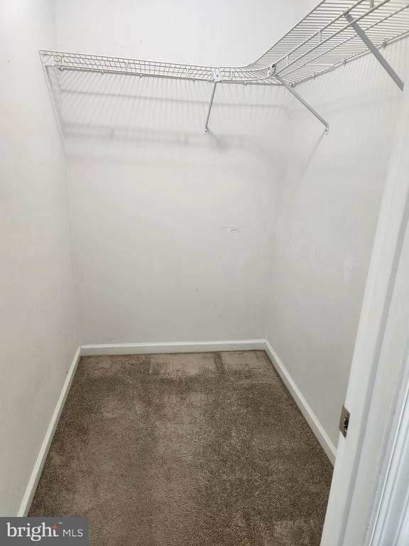 Building Photo - 513 E 11th Ave