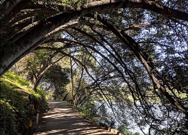 Building Photo - Furnished One Bedroom Cottage in Castro Valley