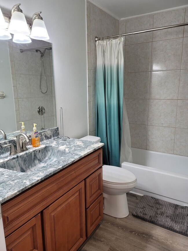 Building Photo - Lovely condo across from USF