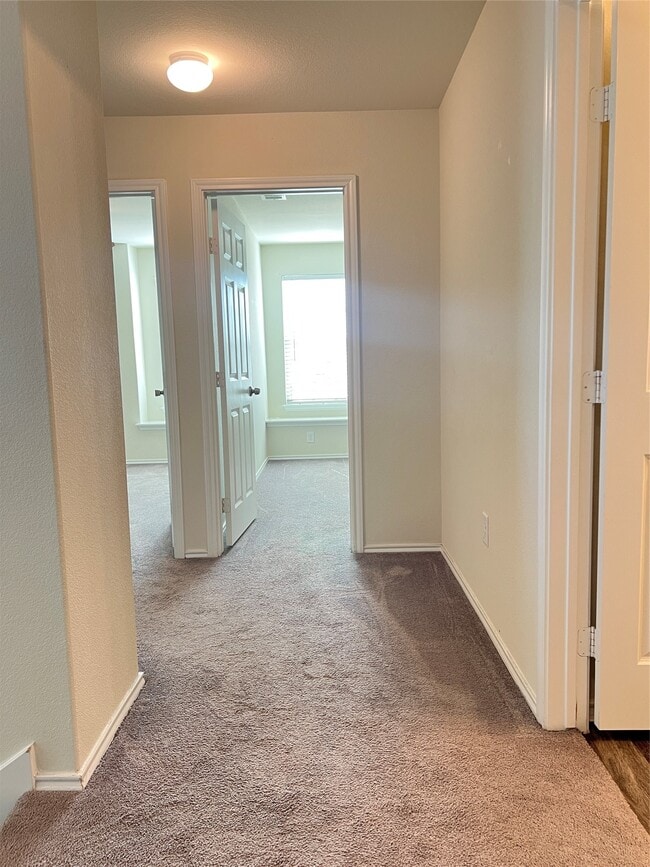 Building Photo - 14734 Jasper Stream Ct