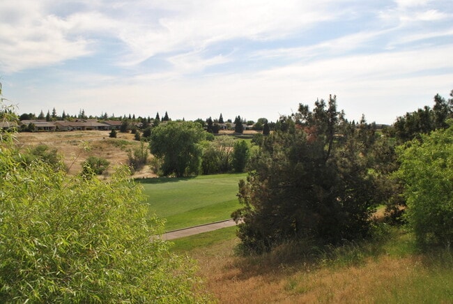 Building Photo - Gorgeous Upgraded Sun City Lincoln Hills Home