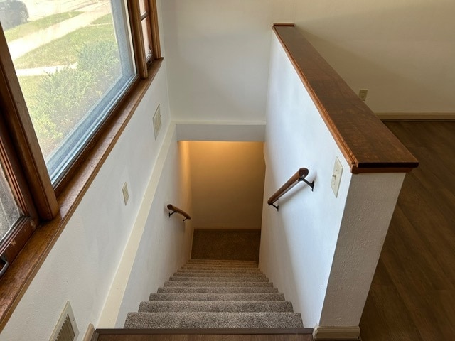 Stairs to finished basement - 1505 Brown Ave