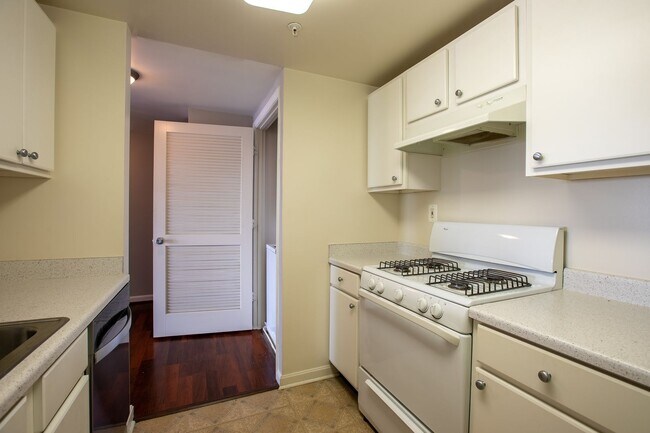 Building Photo - Charming 2 BR/2 BA Condo in Barry Farms!
