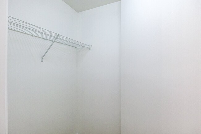 Building Photo - 8321 Glenwood Springs Ct