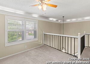 Building Photo - 317 Sunrose Ln