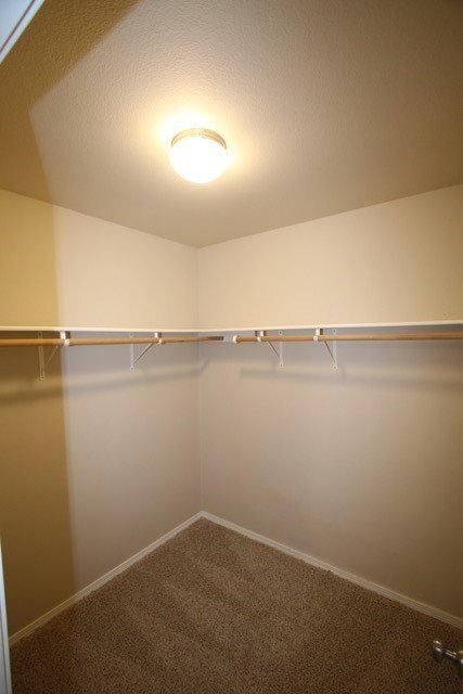 Building Photo - 3 Bedroom South Anchorage Townhouse!