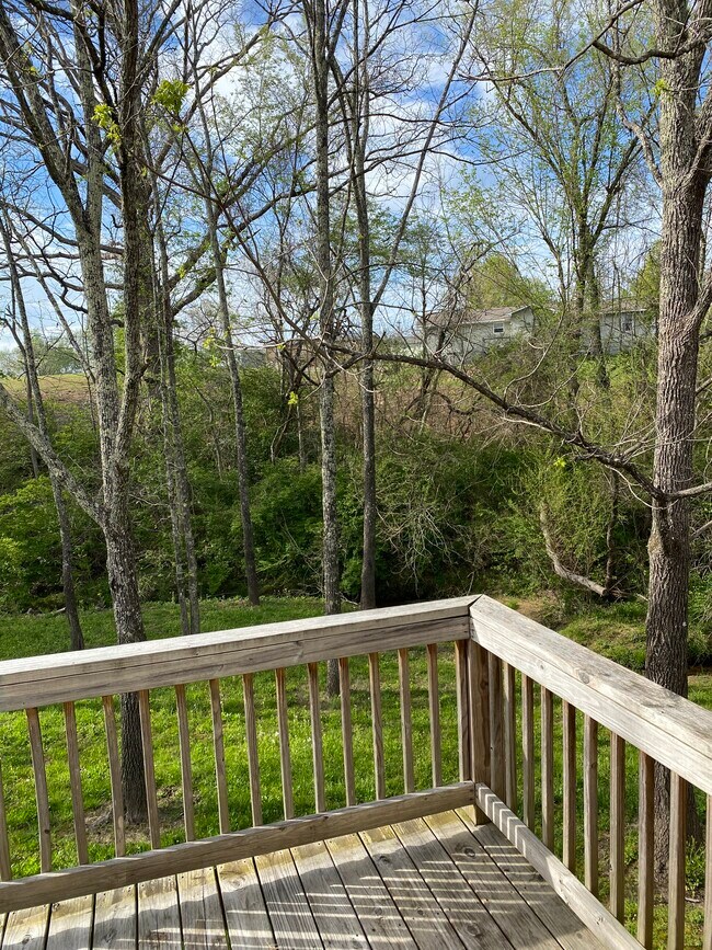 Building Photo - 1120 Fourth St