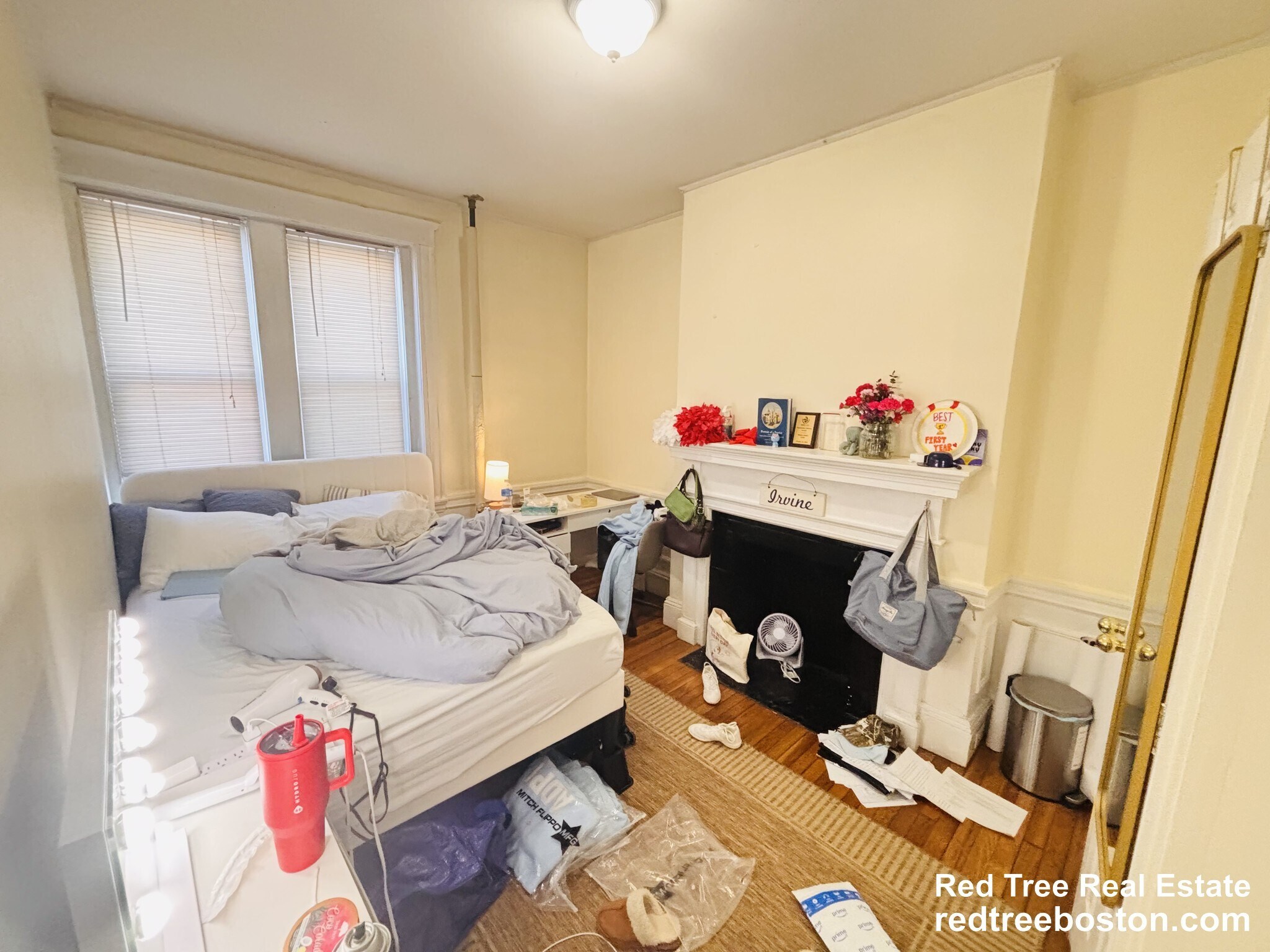 Building Photo - 62 Egmont St