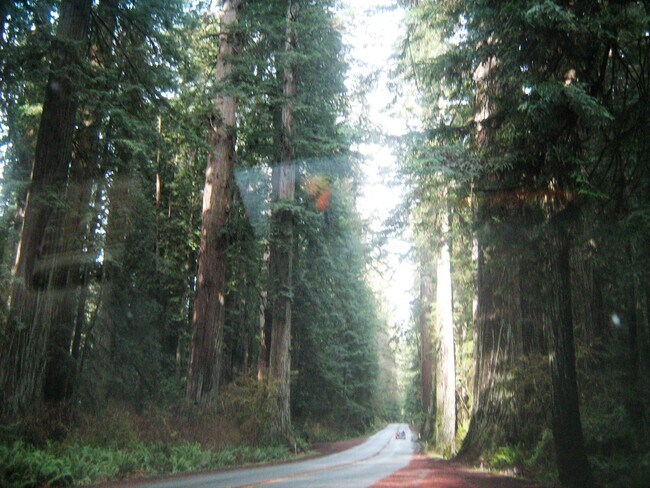 Building Photo - 2710 Oliver Ave