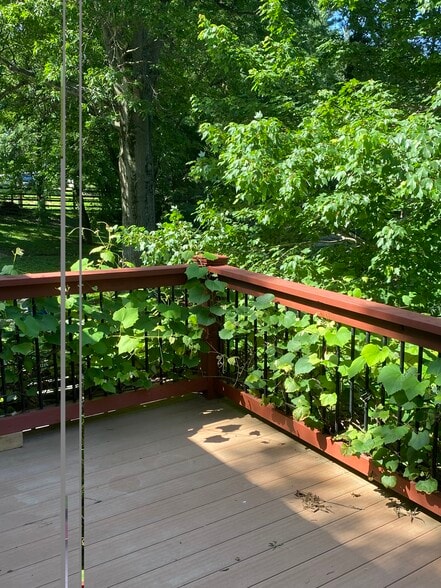 Deck - 755 Weidman Rd