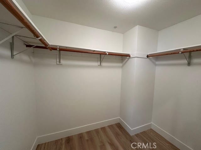 Building Photo - 552 Shoal Cir