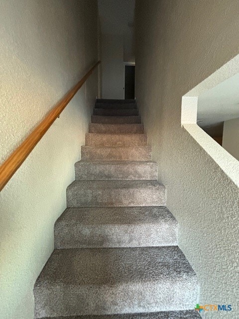 Building Photo - 4304 Mattie Dr