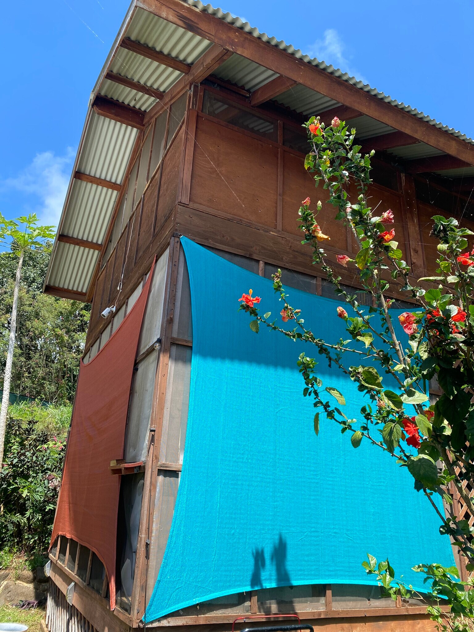Building Photo - 4660 Hauaala Rd