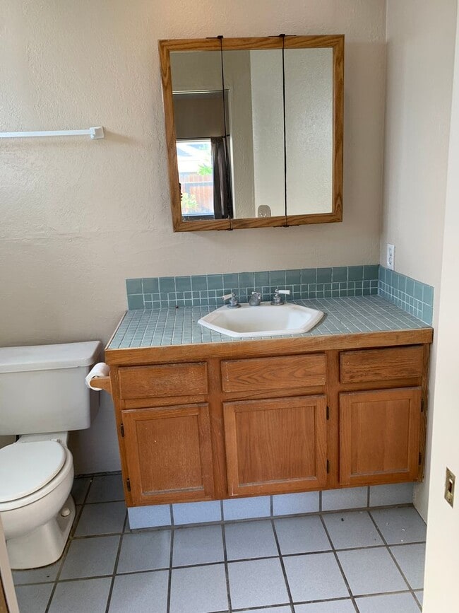 Building Photo - Beautiful Single Story Lathrop Home