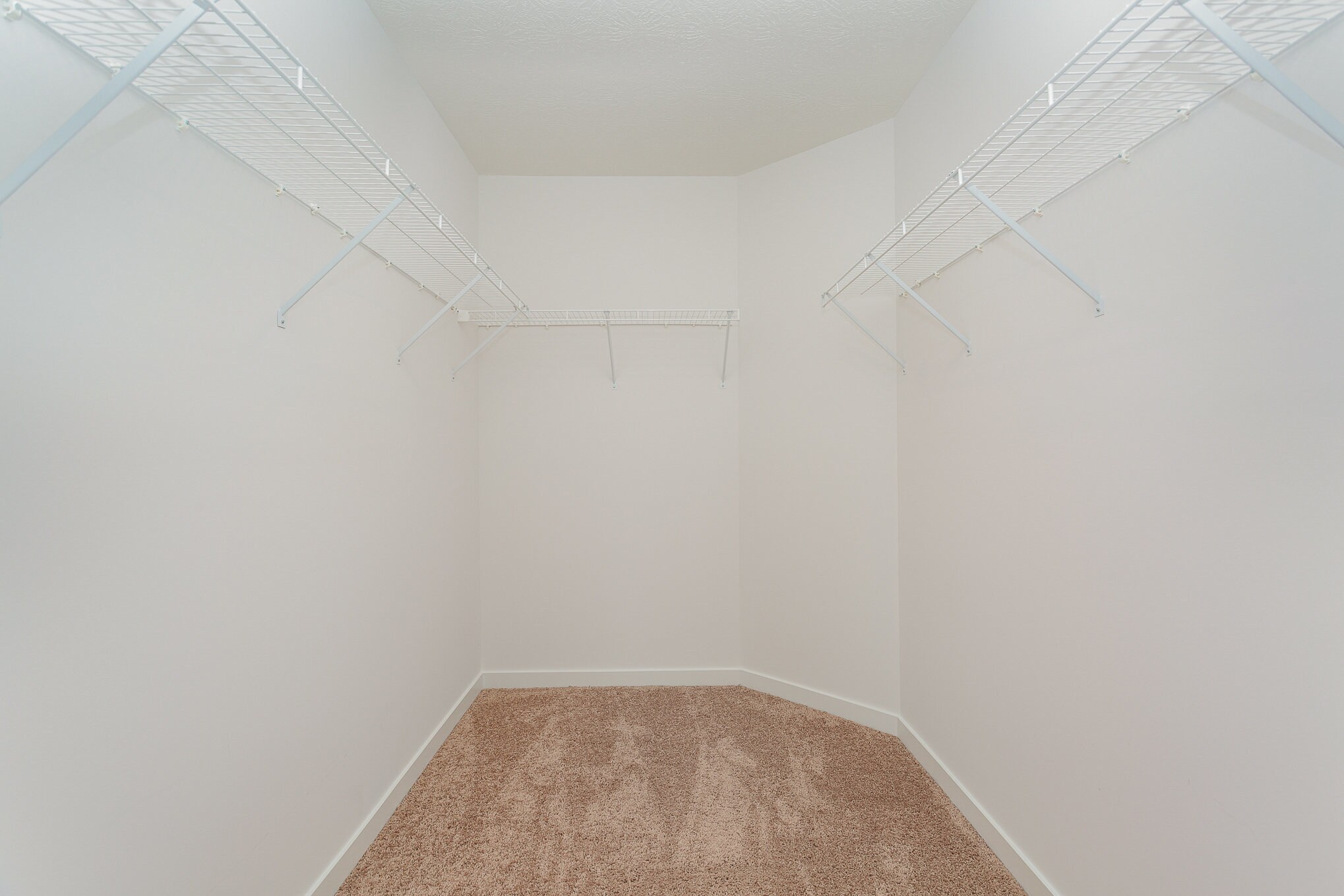 Building Photo - 5371 Coble Meadows Ln