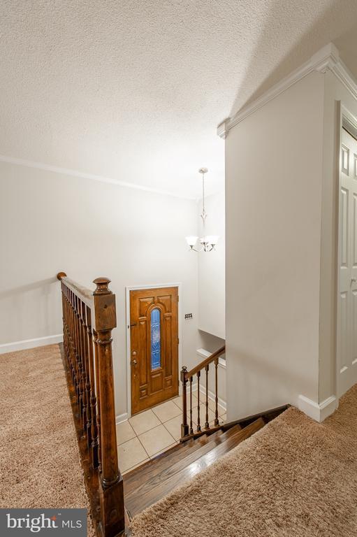 Building Photo - 1709 Dogwood Dr